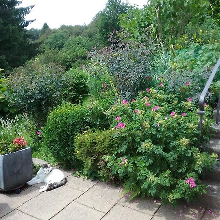 Apartament Perlenbachtal Monschau Zewnętrze zdjęcie