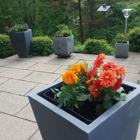 Apartament Perlenbachtal Monschau Zewnętrze zdjęcie