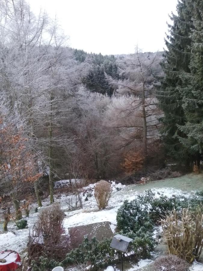 Apartament Perlenbachtal Monschau Zewnętrze zdjęcie