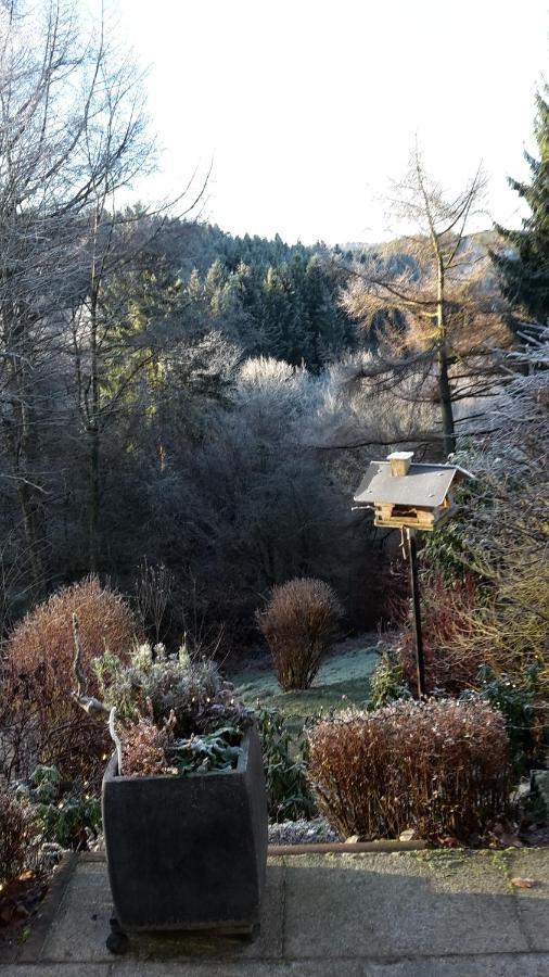 Apartament Perlenbachtal Monschau Zewnętrze zdjęcie