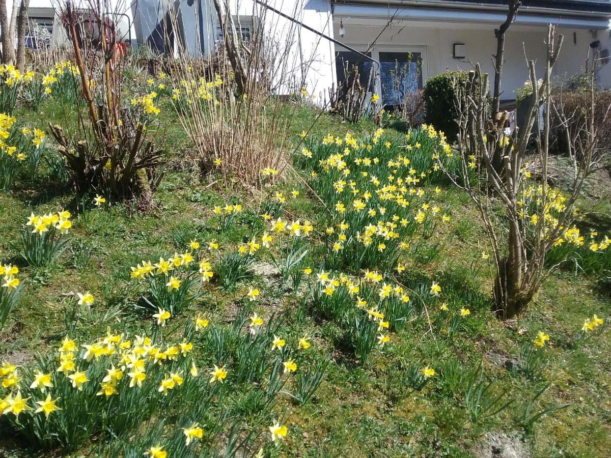 Apartament Perlenbachtal Monschau Zewnętrze zdjęcie