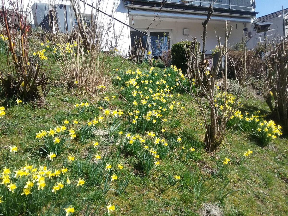 Apartament Perlenbachtal Monschau Zewnętrze zdjęcie