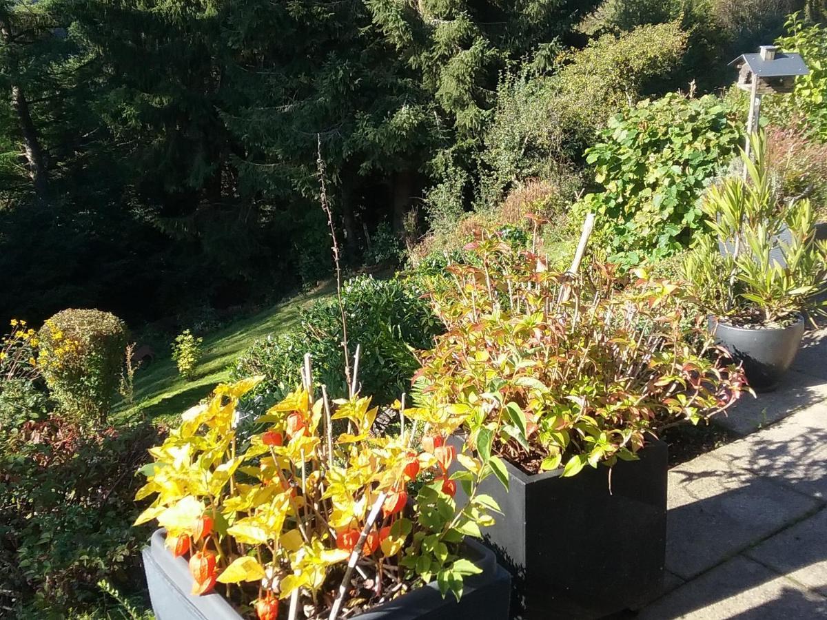Apartament Perlenbachtal Monschau Zewnętrze zdjęcie