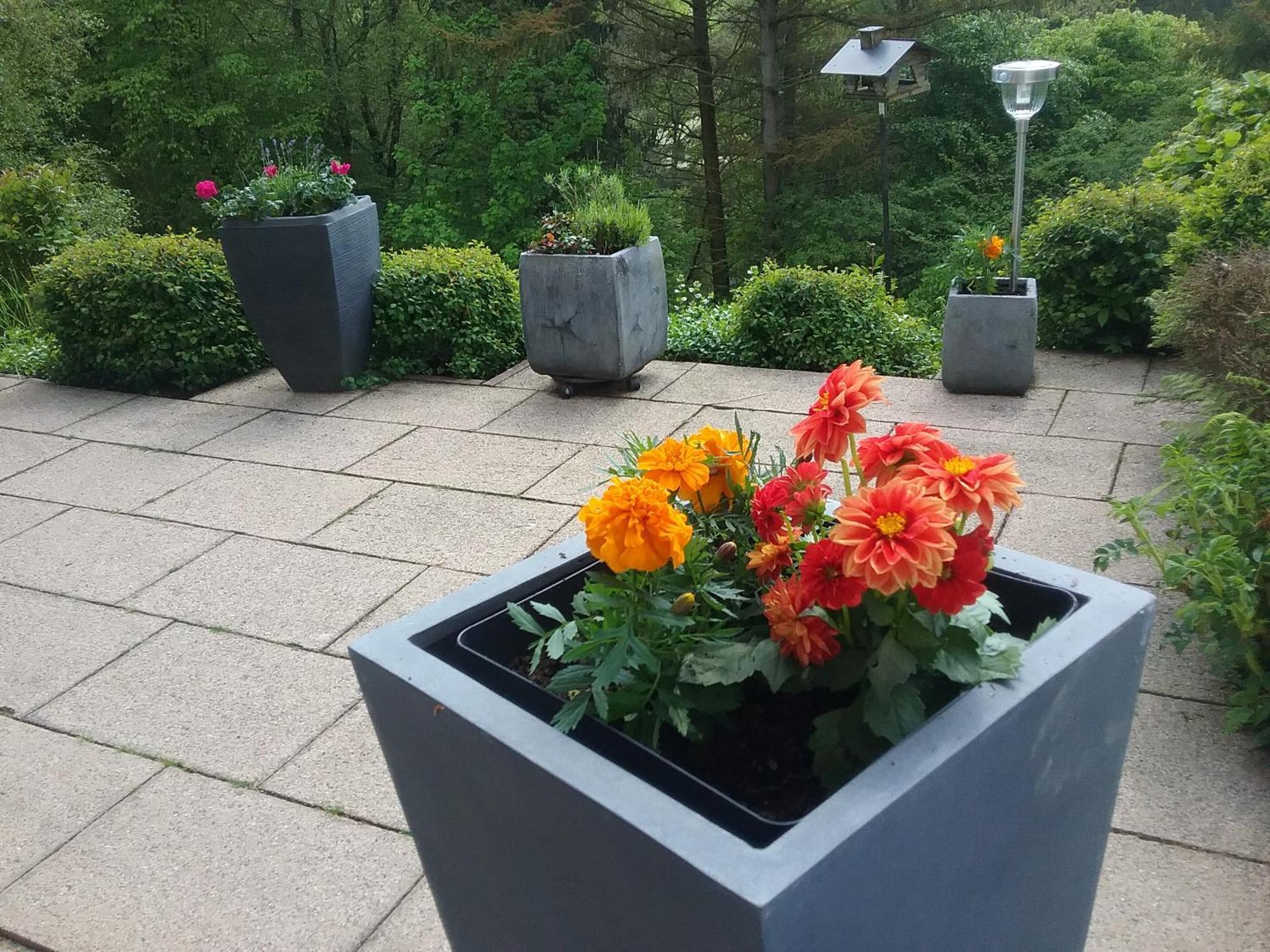 Apartament Perlenbachtal Monschau Zewnętrze zdjęcie