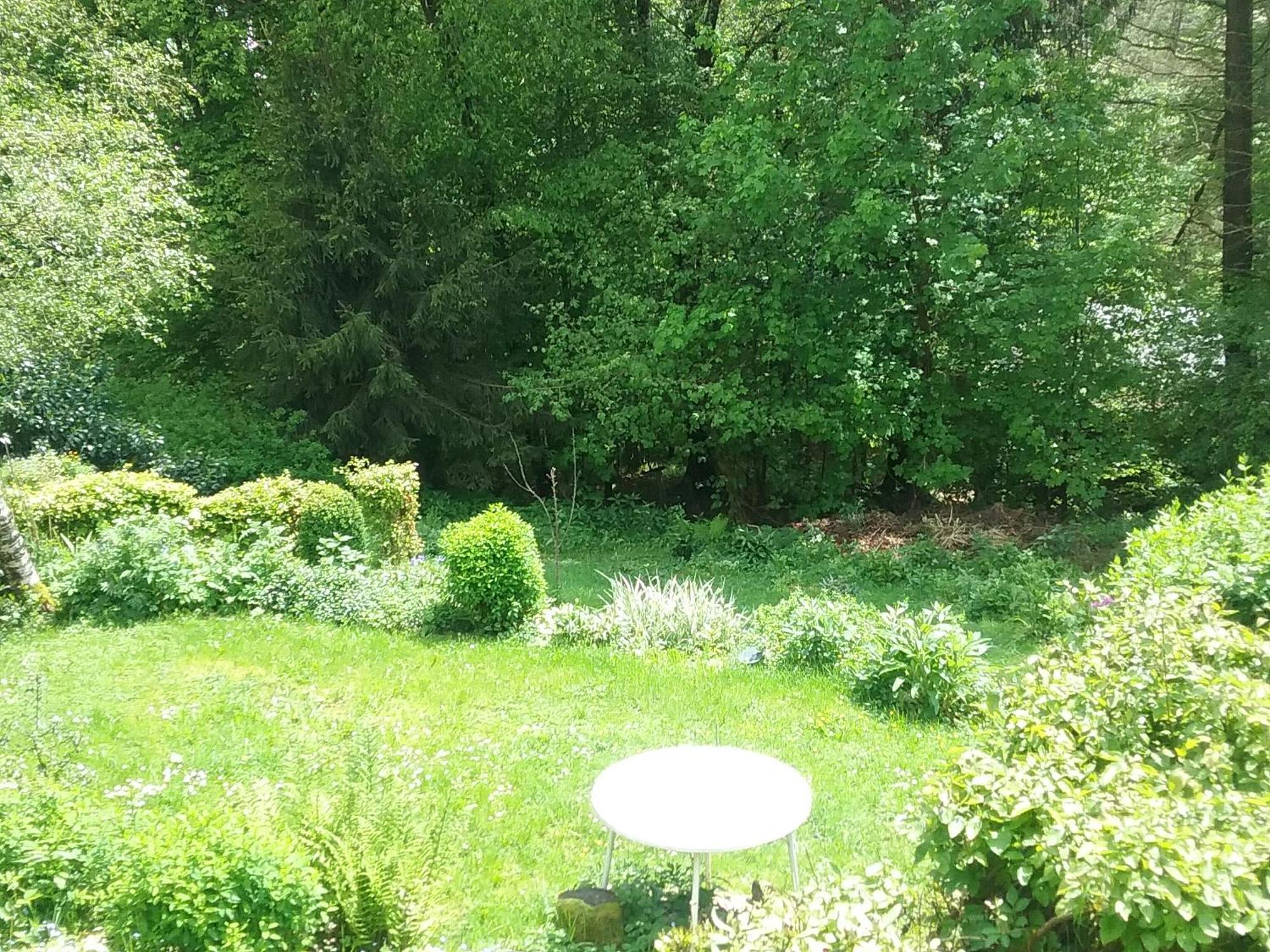 Apartament Perlenbachtal Monschau Zewnętrze zdjęcie