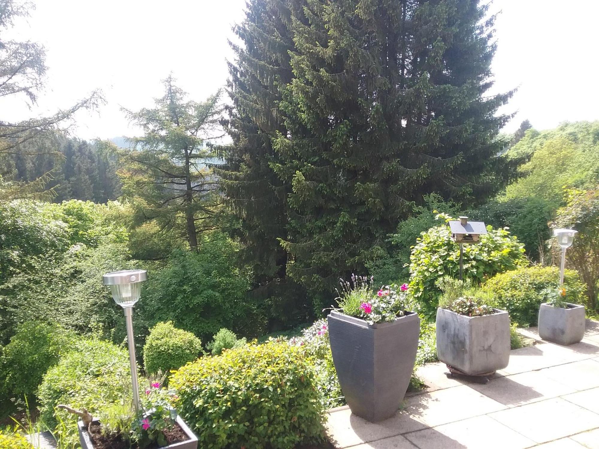Apartament Perlenbachtal Monschau Zewnętrze zdjęcie