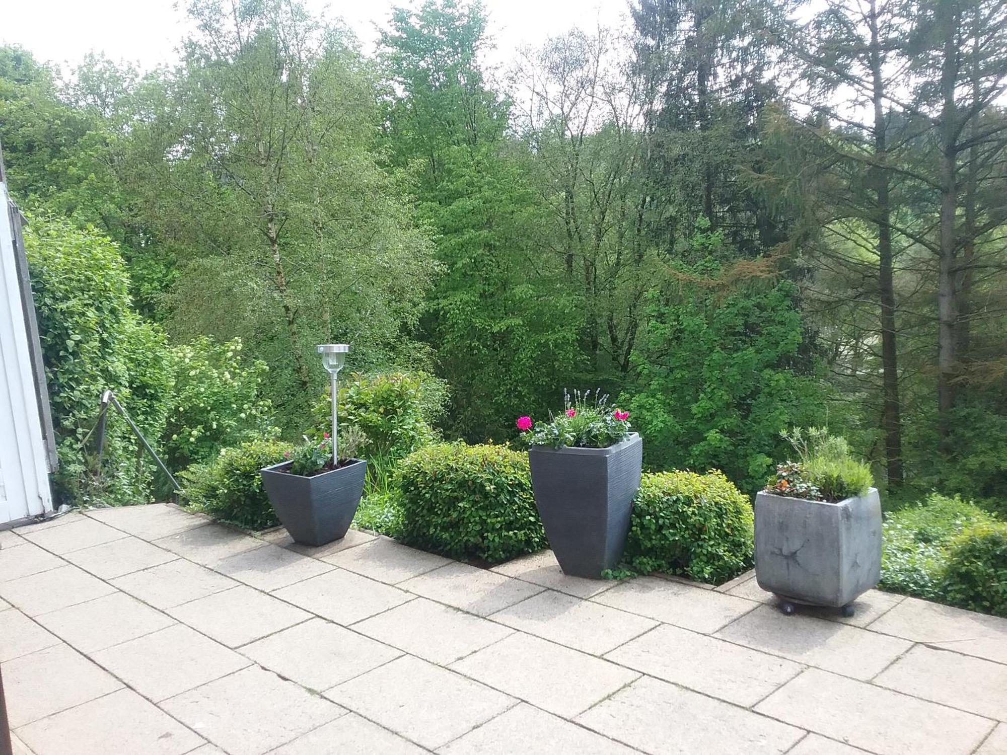 Apartament Perlenbachtal Monschau Zewnętrze zdjęcie